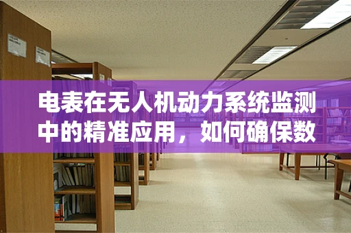 电表在无人机动力系统监测中的精准应用，如何确保数据准确性？