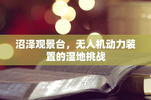 沼泽观景台，无人机动力装置的湿地挑战