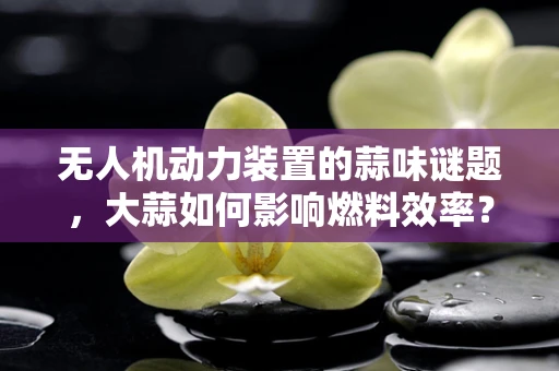 无人机动力装置的蒜味谜题，大蒜如何影响燃料效率？