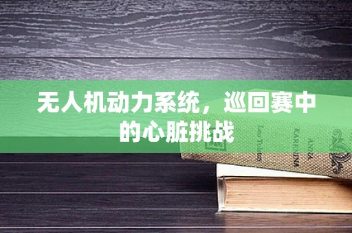 无人机动力系统，巡回赛中的心脏挑战