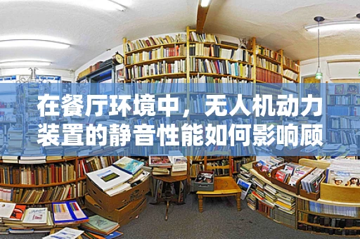 在餐厅环境中，无人机动力装置的静音性能如何影响顾客体验？
