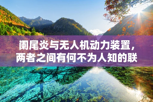 阑尾炎与无人机动力装置，两者之间有何不为人知的联系？