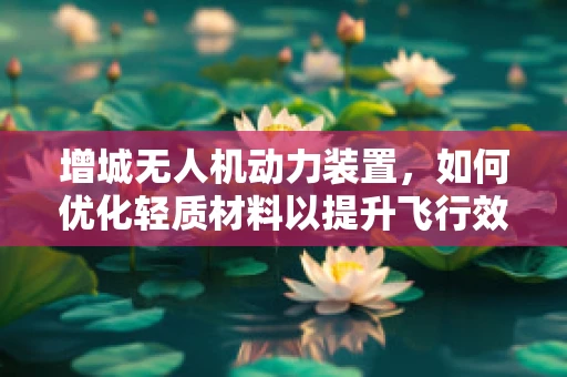 增城无人机动力装置，如何优化轻质材料以提升飞行效率？