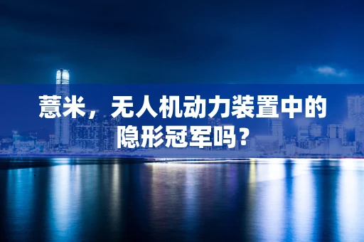 薏米，无人机动力装置中的隐形冠军吗？
