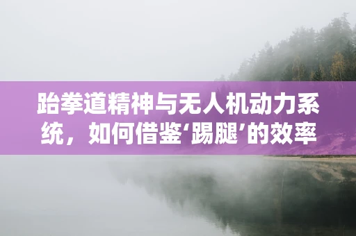 跆拳道精神与无人机动力系统，如何借鉴‘踢腿’的效率提升飞行性能？