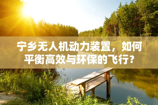宁乡无人机动力装置，如何平衡高效与环保的飞行？