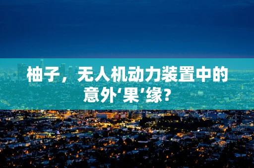 柚子，无人机动力装置中的意外‘果’缘？
