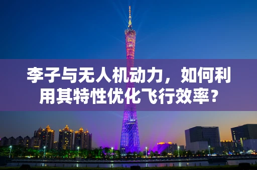 李子与无人机动力，如何利用其特性优化飞行效率？