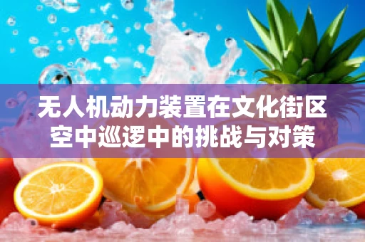 无人机动力装置在文化街区空中巡逻中的挑战与对策