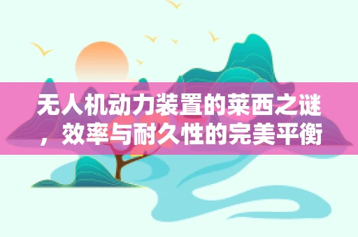 无人机动力装置的莱西之谜，效率与耐久性的完美平衡？