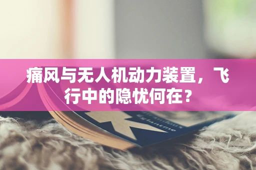 痛风与无人机动力装置，飞行中的隐忧何在？