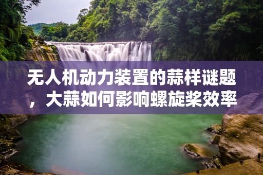 无人机动力装置的蒜样谜题，大蒜如何影响螺旋桨效率？