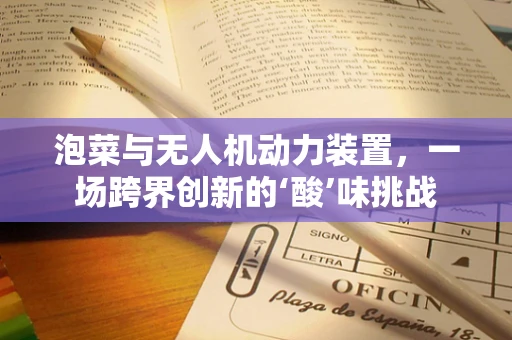 泡菜与无人机动力装置，一场跨界创新的‘酸’味挑战