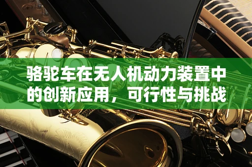 骆驼车在无人机动力装置中的创新应用，可行性与挑战并存？