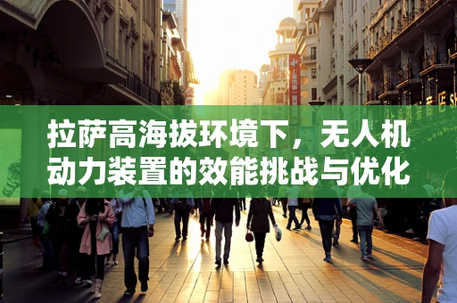 拉萨高海拔环境下，无人机动力装置的效能挑战与优化策略？