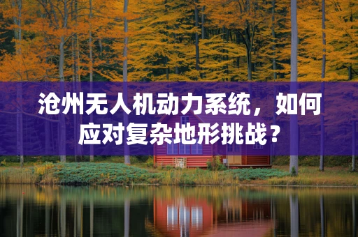 沧州无人机动力系统，如何应对复杂地形挑战？
