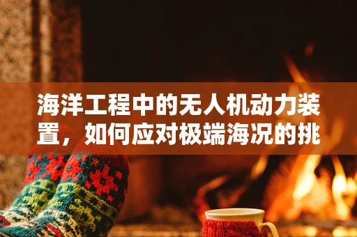 海洋工程中的无人机动力装置，如何应对极端海况的挑战？