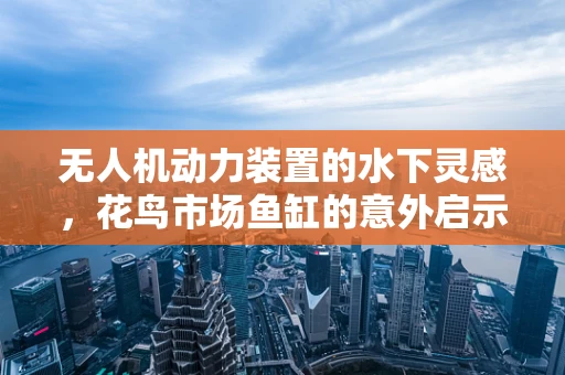 无人机动力装置的水下灵感，花鸟市场鱼缸的意外启示