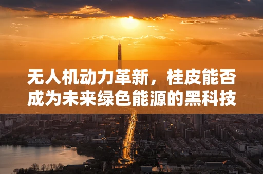 无人机动力革新，桂皮能否成为未来绿色能源的黑科技？