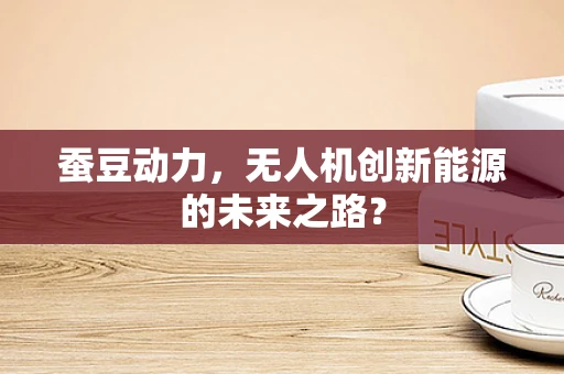 蚕豆动力，无人机创新能源的未来之路？