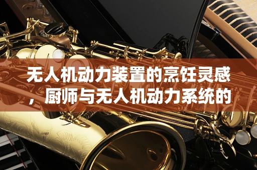 无人机动力装置的烹饪灵感，厨师与无人机动力系统的创新融合