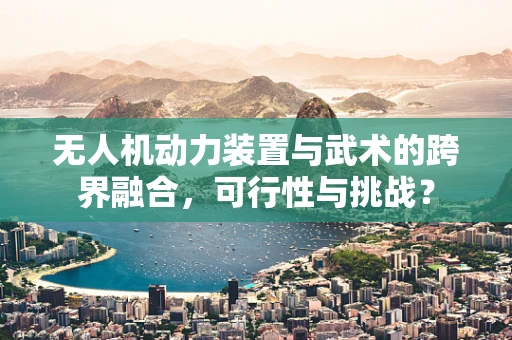 无人机动力装置与武术的跨界融合，可行性与挑战？