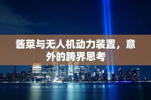 酱菜与无人机动力装置，意外的跨界思考