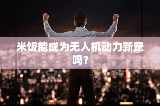米饭能成为无人机动力新宠吗？