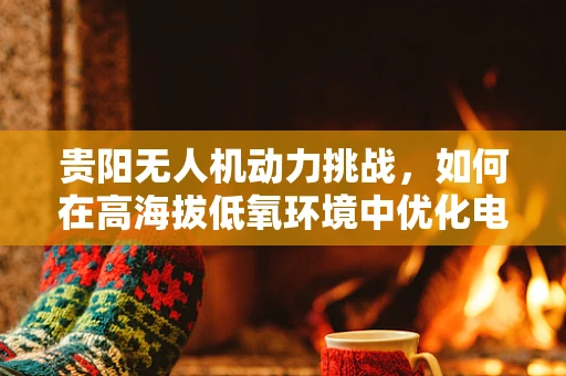 贵阳无人机动力挑战，如何在高海拔低氧环境中优化电池续航？