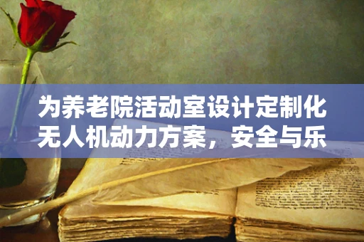 为养老院活动室设计定制化无人机动力方案，安全与乐趣的平衡挑战