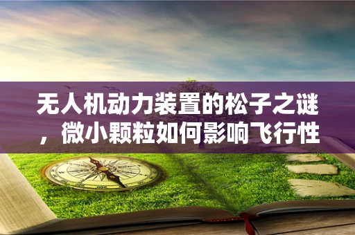 无人机动力装置的松子之谜，微小颗粒如何影响飞行性能？