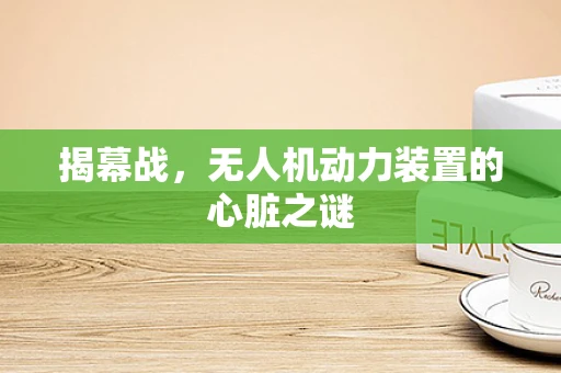 揭幕战，无人机动力装置的心脏之谜