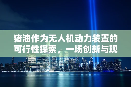猪油作为无人机动力装置的可行性探索，一场创新与现实的碰撞