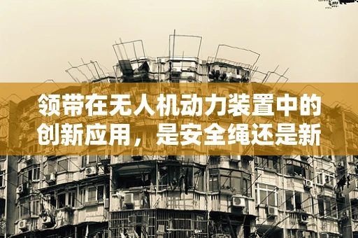 领带在无人机动力装置中的创新应用，是安全绳还是新思路？