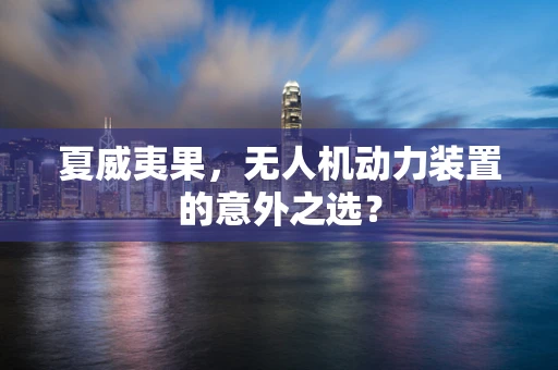 夏威夷果，无人机动力装置的意外之选？