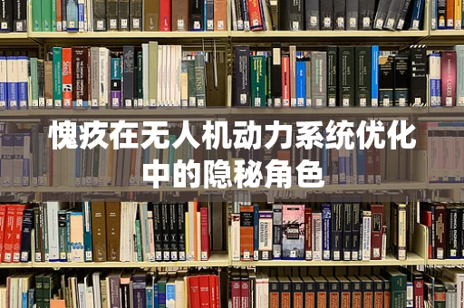 愧疚在无人机动力系统优化中的隐秘角色