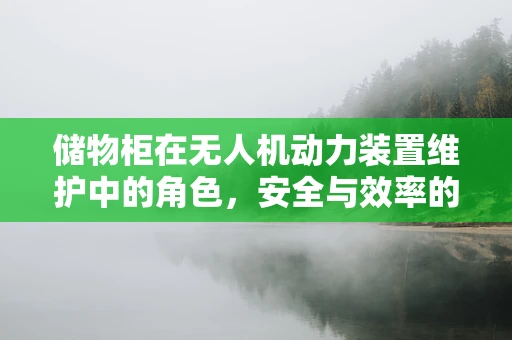 储物柜在无人机动力装置维护中的角色，安全与效率的双重考量