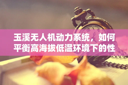 玉溪无人机动力系统，如何平衡高海拔低温环境下的性能与效率？