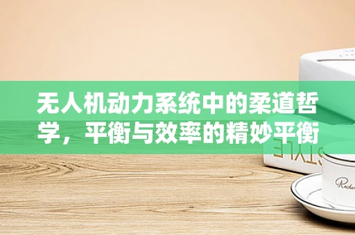 无人机动力系统中的柔道哲学，平衡与效率的精妙平衡