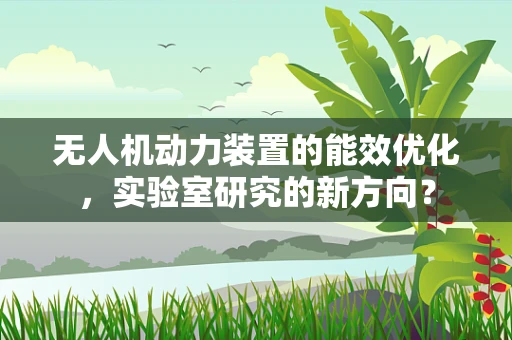 无人机动力装置的能效优化，实验室研究的新方向？