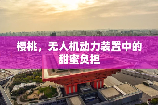 樱桃，无人机动力装置中的甜蜜负担