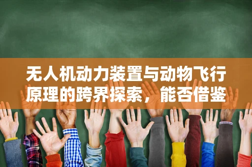 无人机动力装置与动物飞行原理的跨界探索，能否借鉴鸟类翅膀的空气动力学？