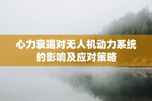 心力衰竭对无人机动力系统的影响及应对策略