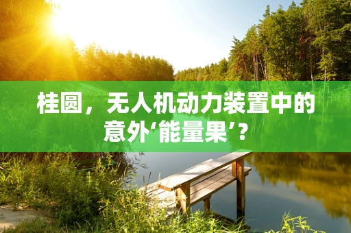 桂圆，无人机动力装置中的意外‘能量果’？