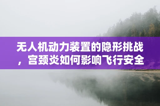 无人机动力装置的隐形挑战，宫颈炎如何影响飞行安全？