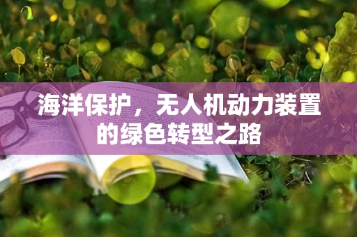 海洋保护，无人机动力装置的绿色转型之路
