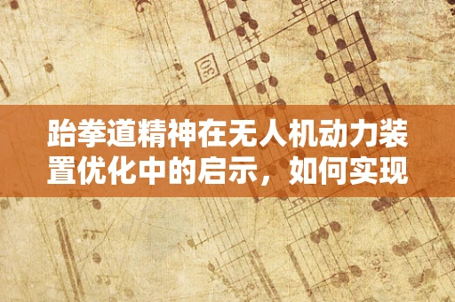 跆拳道精神在无人机动力装置优化中的启示，如何实现‘踢’出高效能？