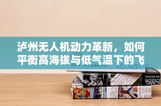 泸州无人机动力革新，如何平衡高海拔与低气温下的飞行效率？