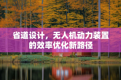 省道设计，无人机动力装置的效率优化新路径