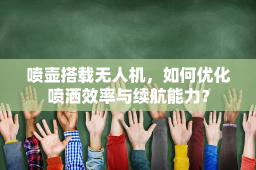喷壶搭载无人机，如何优化喷洒效率与续航能力？